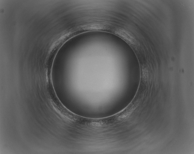 X0000073860302200608170949