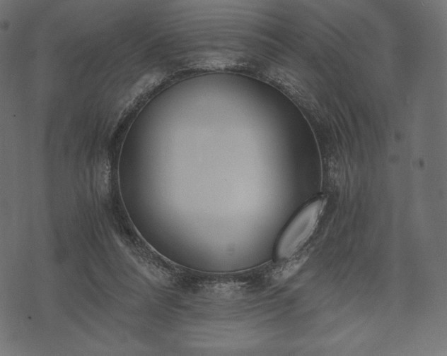 X0000073860304200608170949