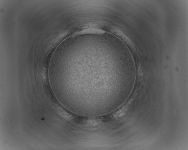 X0000073860305200608170949