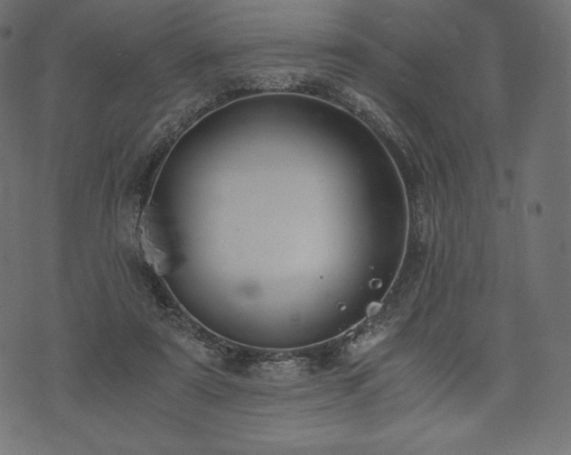 X0000073860307200608170949