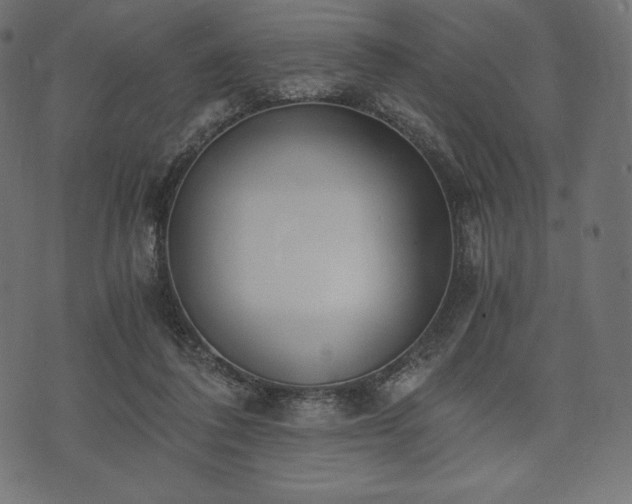 X0000073860308200608170949