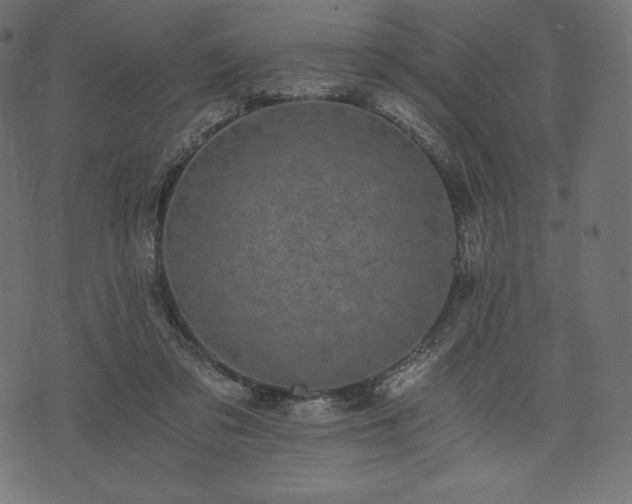 X0000073860309200608170949