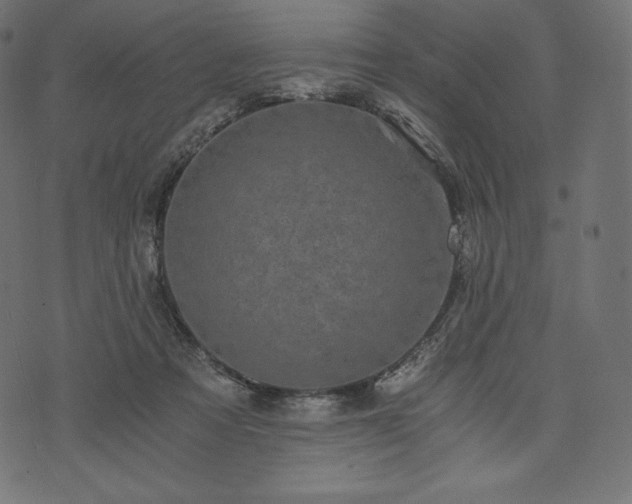 X0000073860313200608170949