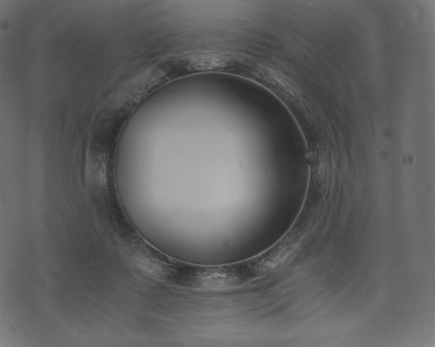 X0000073860315200608170949