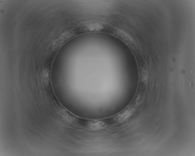 X0000073860321200608170949