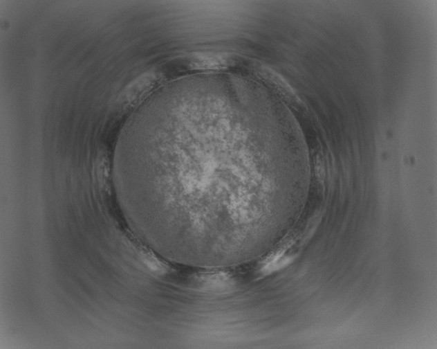 X0000073860322200608170949