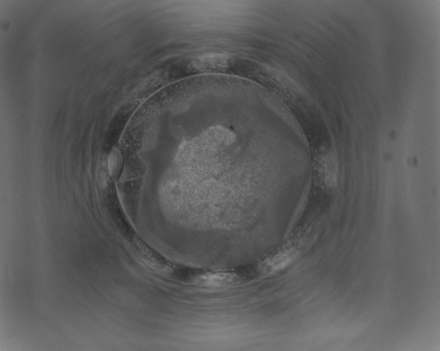 X0000073860323200608170949