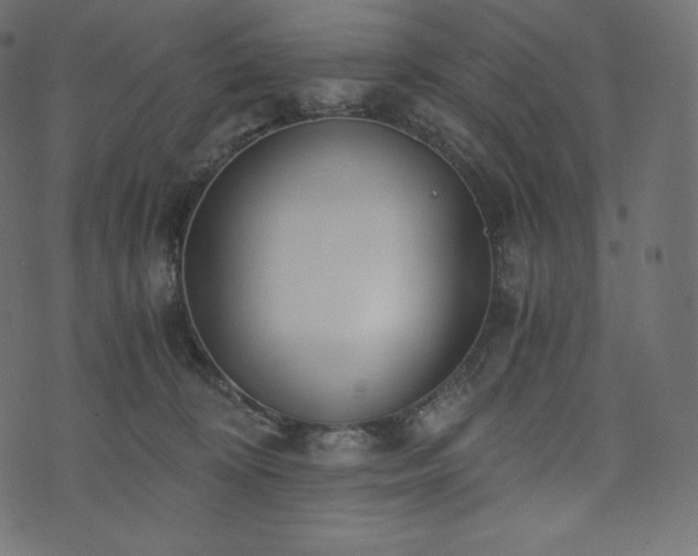 X0000073860324200608170949