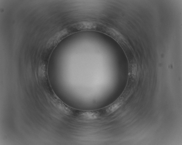 X0000073860326200608170949