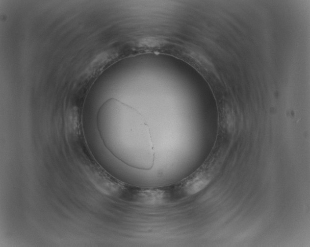 X0000073860328200608170949