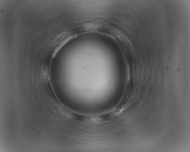 X0000073860329200608170949