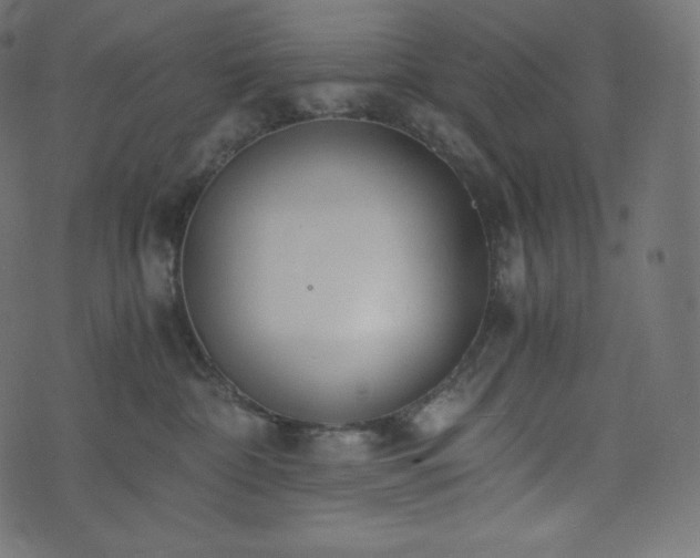 X0000073860332200608170948