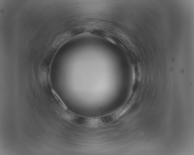 X0000073860333200608170948