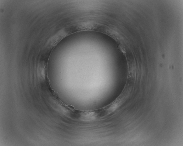 X0000073860334200608170948