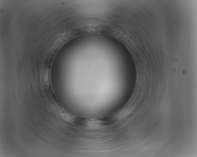 X0000073860336200608170948