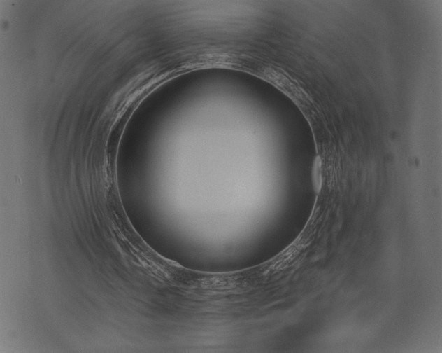 X0000073860338200608170948