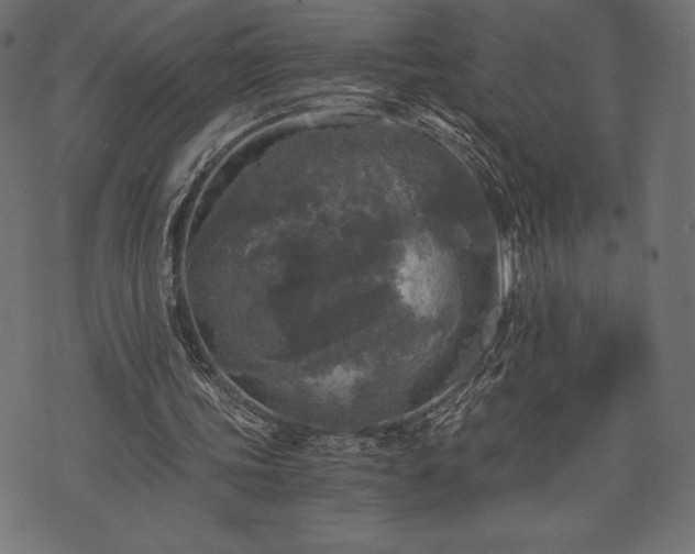 X0000073860339200608170948