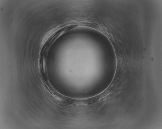 X0000073860340200608170948