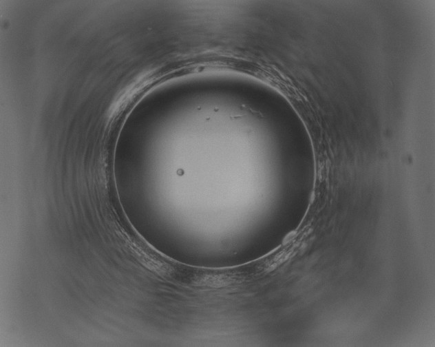 X0000073860341200608170948