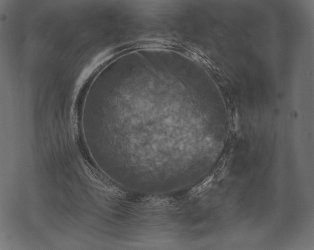 X0000073860343200608170948