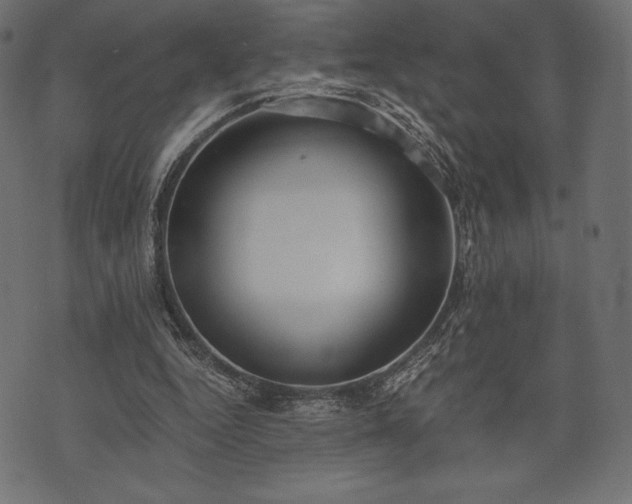 X0000073860344200608170948