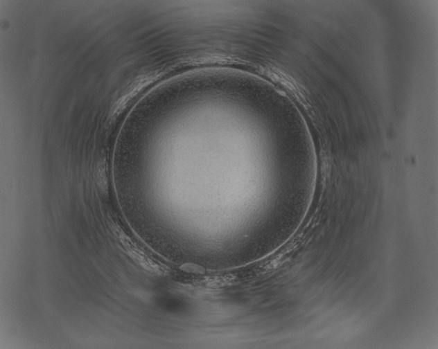 X0000073860345200608170948