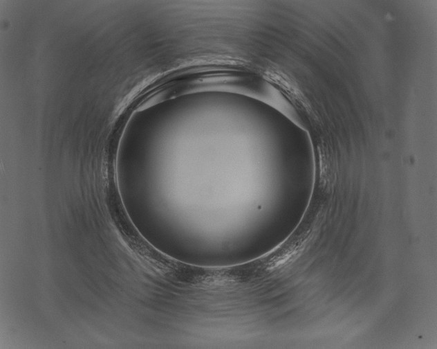 X0000073860348200608170948