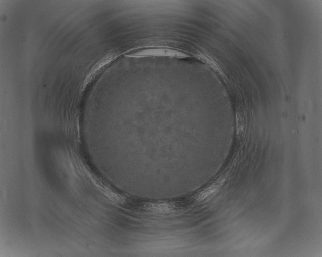 X0000073860349200608170948