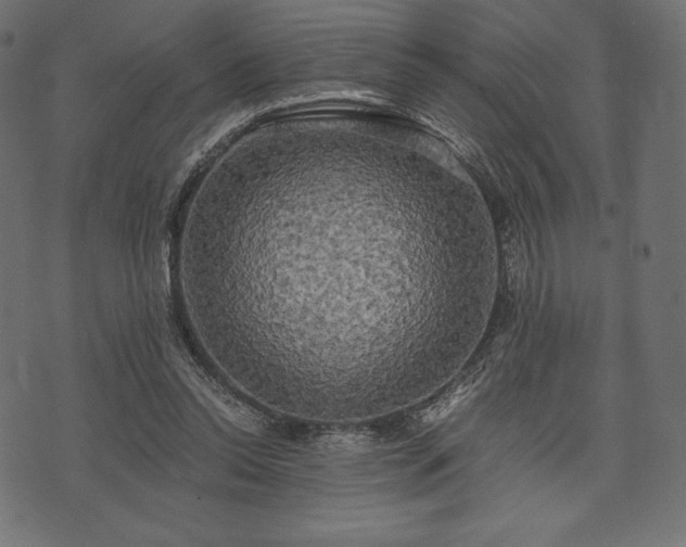 X0000073860350200608170948