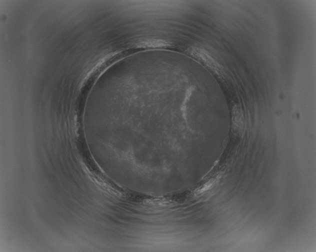 X0000073860351200608170948