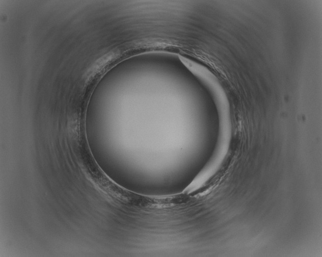 X0000073860352200608170948