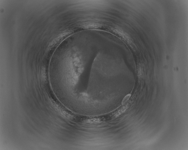 X0000073860353200608170948