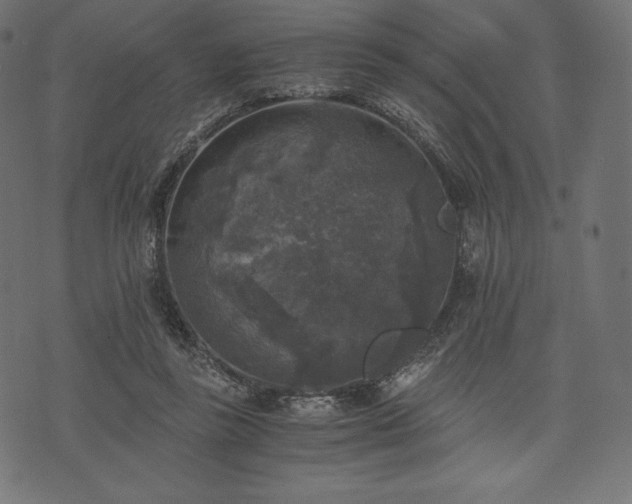 X0000073860355200608170948