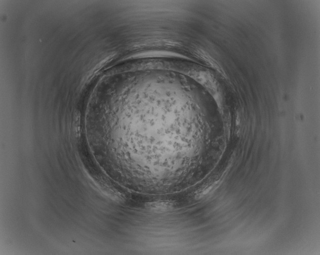 X0000073860356200608170948