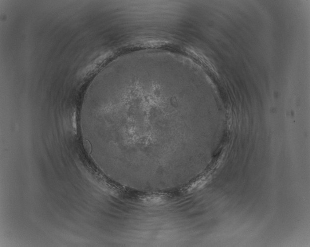 X0000073860358200608170948