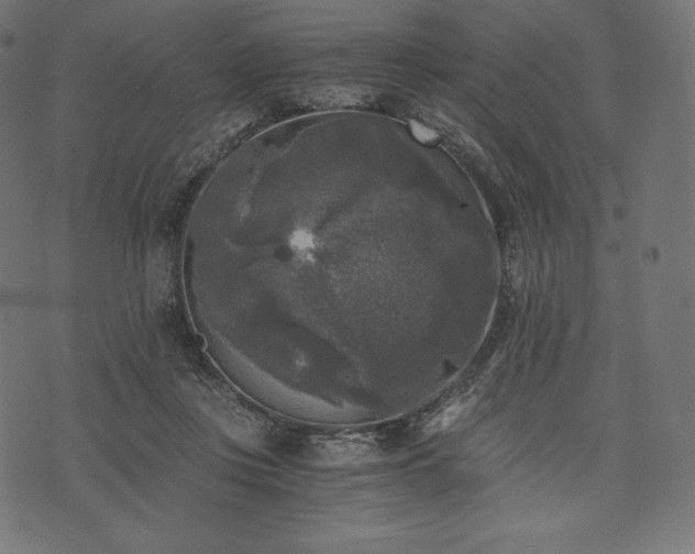 X0000073860359200608170948