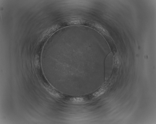 X0000073860361200608170948