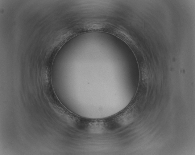 X0000073860362200608170948