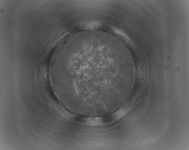 X0000073860363200608170948