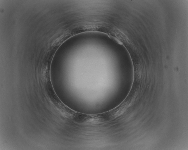 X0000073860364200608170948