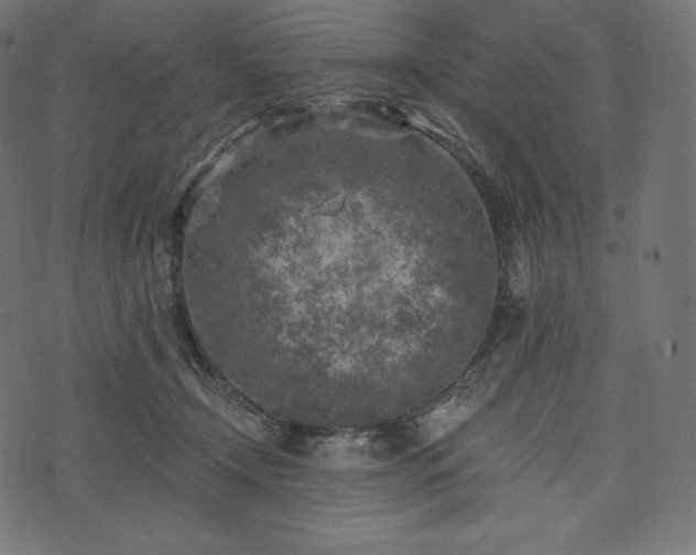 X0000073860366200608170948