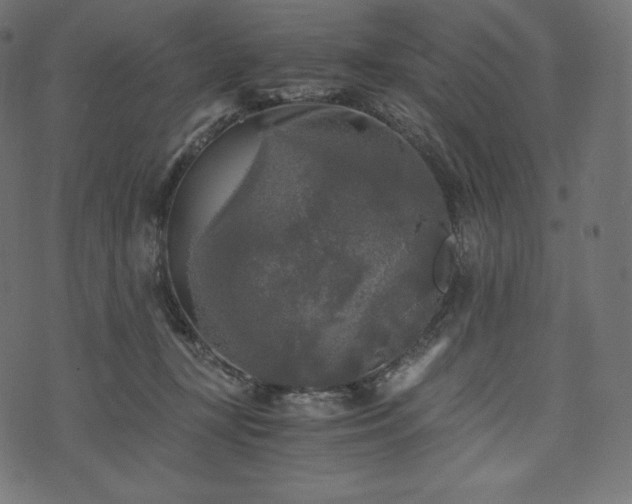 X0000073860367200608170948