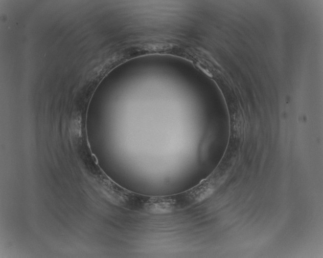 X0000073860368200608170948