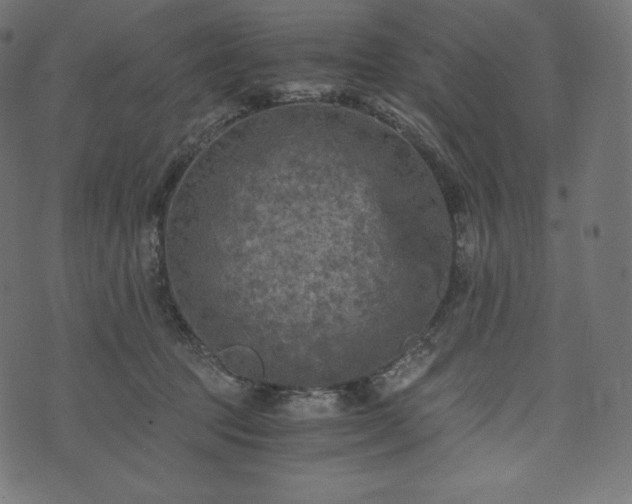 X0000073860369200608170948