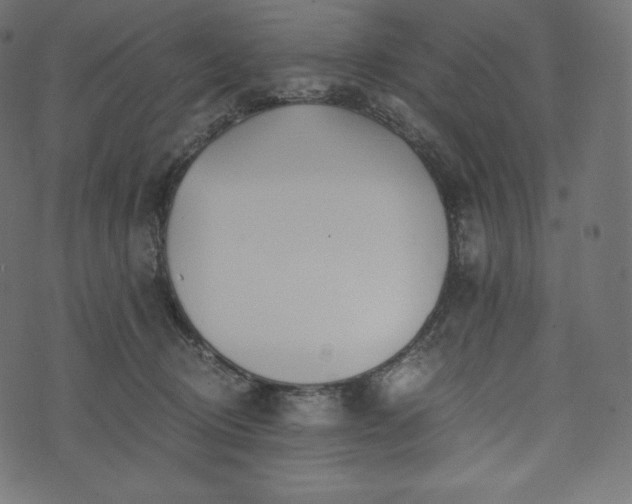 X0000073860370200608170948