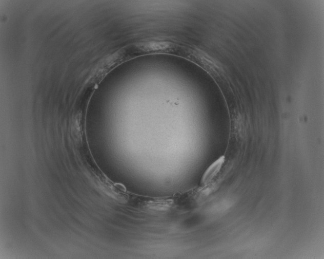 X0000073860373200608170948