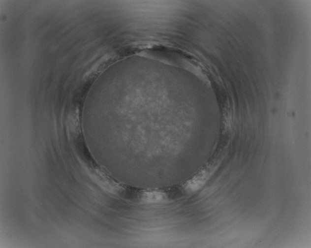 X0000073860376200608170948