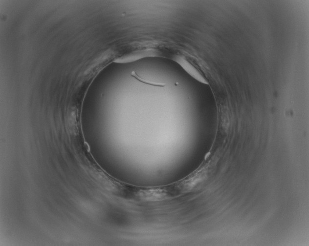 X0000073860378200608170948