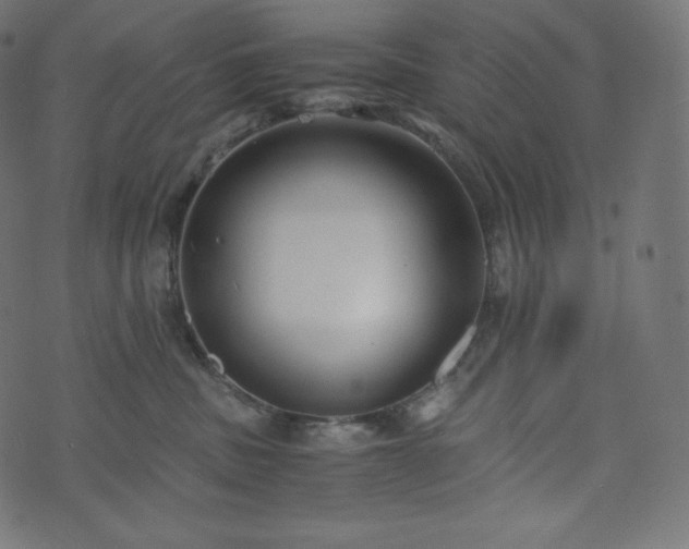 X0000073860379200608170948