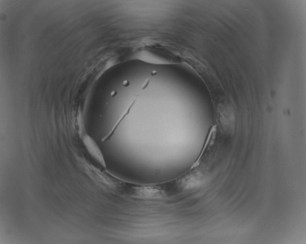 X0000073860380200608170948